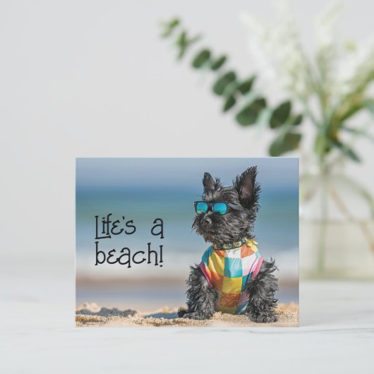 Scottish Terrier Puppy met zonnebril Briefkaart (Staand voorkant)