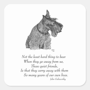 Scottish Terrier Rainbow Bridge Vierkante Sticker