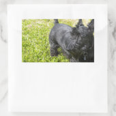 Scottish Terrier Rechthoekige Sticker (Tas)