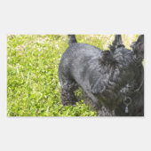Scottish Terrier Rechthoekige Sticker (Voorkant)