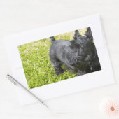Scottish Terrier Rechthoekige Sticker (Envelop)