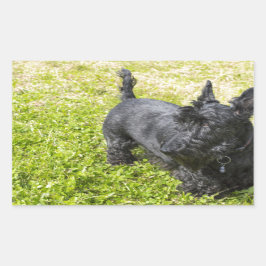 Scottish Terrier Rechthoekige Sticker