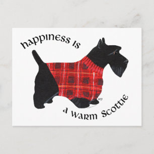 Scottish Terrier Red & Black Plays Sweater Briefkaart