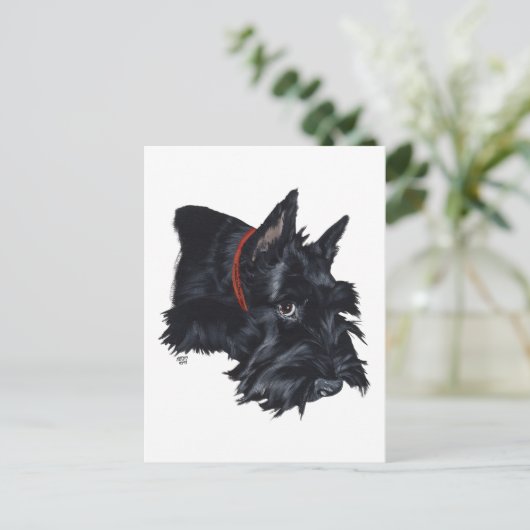 Scottish Terrier Resting Briefkaart (Staand voorkant)