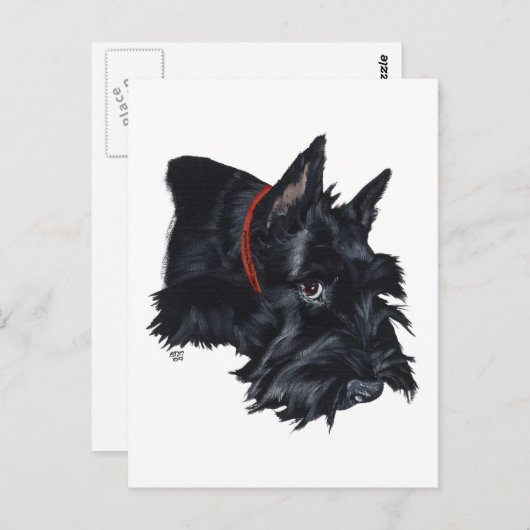 Scottish Terrier Resting Briefkaart (Voorkant / Achterkant)