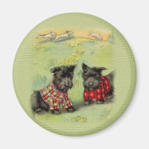  Scottish Terrier Round Magnet