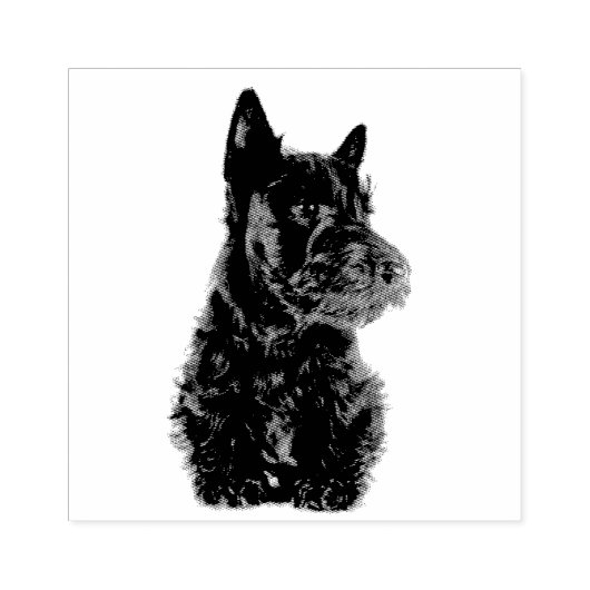 Scottish Terrier Rubberstempel (Afrduk)
