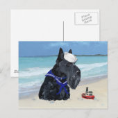 Scottish Terrier Sailor Briefkaart (Voorkant / Achterkant)