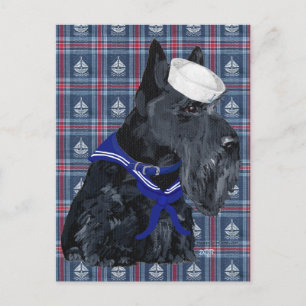 Scottish Terrier Sailor Briefkaart