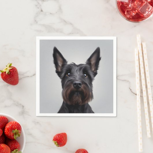 Scottish Terrier Servet (Insitu)