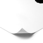 Scottish Terrier Silhouette Poster (Hoek)