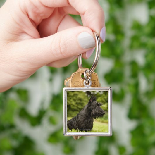 Scottish Terrier Sleutelhanger (Hand)