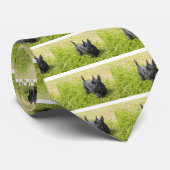 Scottish Terrier Stropdas (Opgerold)