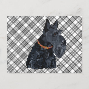 Scottish Terrier Tartan Kaart