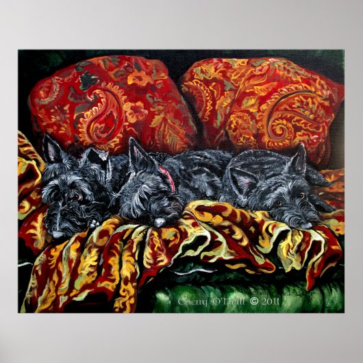 Scottish Terrier Trio Poster (Voorkant)