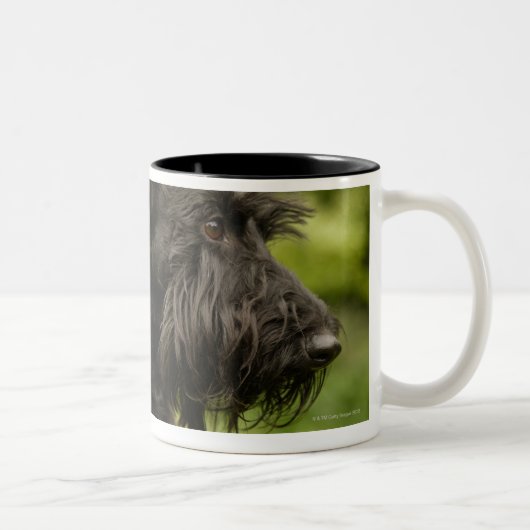 Scottish Terrier Tweekleurige Koffiemok (Rechts)