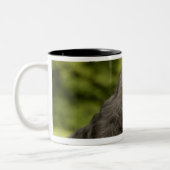 Scottish Terrier Tweekleurige Koffiemok (Links)