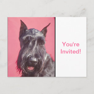 Scottish Terrier Uitnodiging Briefkaart
