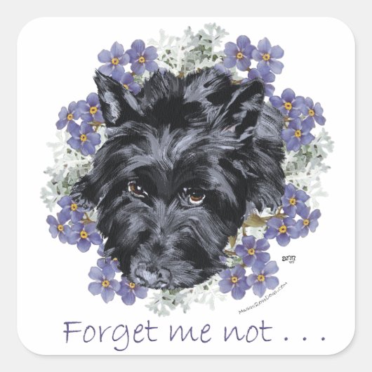 Scottish Terrier Vergeet-Me-Not Vierkante Sticker (Voorkant)