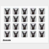 Scottish Terrier Vierkante Sticker (Vel)