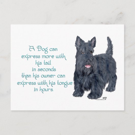 Scottish Terrier Wit & Wisdom - Talking Briefkaart (Voorkant)