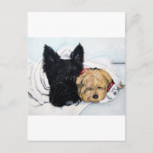 Scottish Terrier & Yorkie Best Friends Briefkaart (Voorkant)