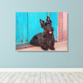 Scottish Terrier zit langs een kleurrijke deur Canvas Afdruk (Insitu (Houten vloer))