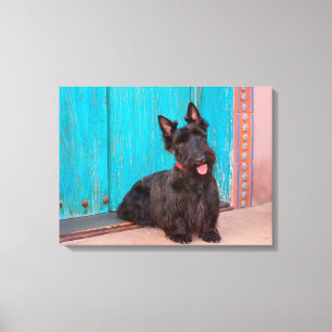 Scottish Terrier zit langs een kleurrijke deur Canvas Afdruk