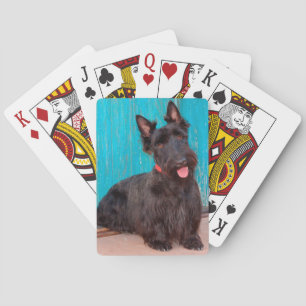 Scottish Terrier zit langs een kleurrijke deur Pokerkaarten