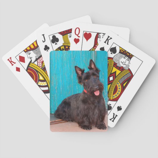 Scottish Terrier zit langs een kleurrijke deur Pokerkaarten (Achterkant)