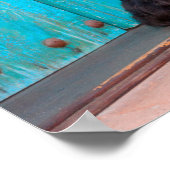 Scottish Terrier zit langs een kleurrijke deur Poster (Hoek)