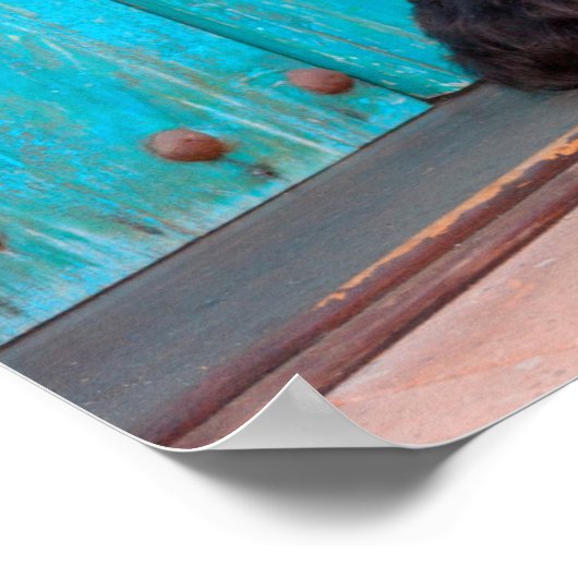 Scottish Terrier zit langs een kleurrijke deur Poster (Hoek)