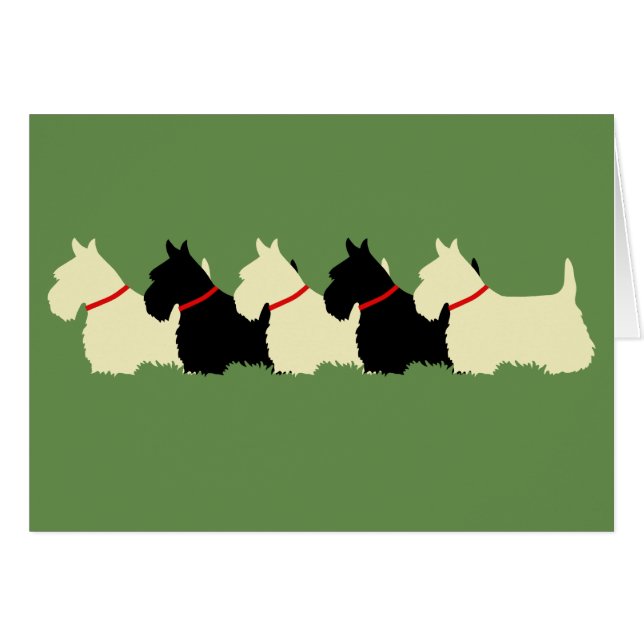 Scottish Terrier zwart/wheaten silhouet blanco (Voorkant Horizontaal)