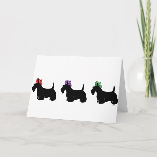 Scottish Terriers in Fun Colored Play Pet Kaart (Voorkant)