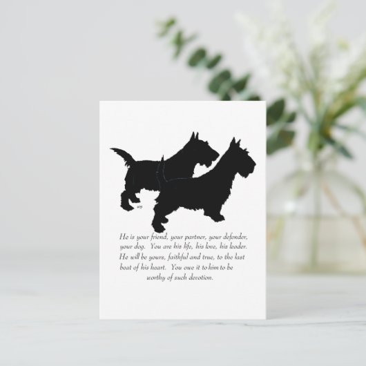Scottish Terriers Keepomwille - MALE Dogs Briefkaart (Staand voorkant)