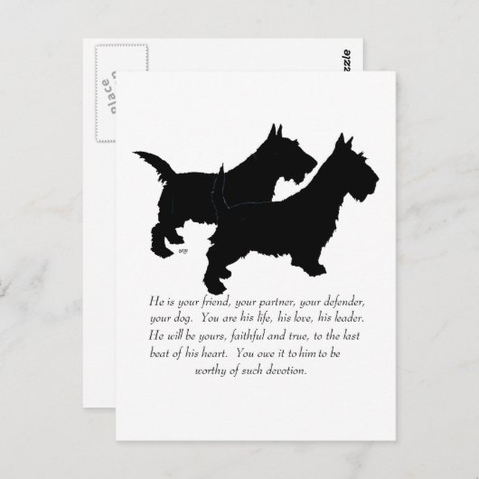 Scottish Terriers Keepomwille - MALE Dogs Briefkaart (Voorkant / Achterkant)