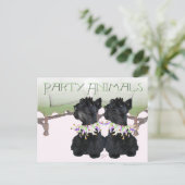 Scottish Terriers Party Animal Briefkaart (Staand voorkant)