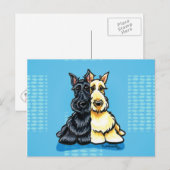 Scottish Terriers Two of a Sind Briefkaart (Voorkant / Achterkant)