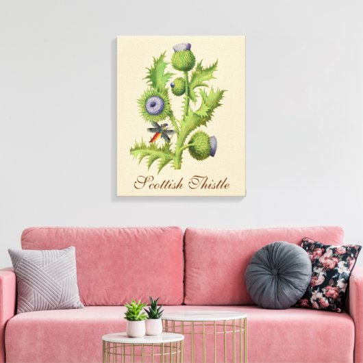 Scottish Thistle Botanical Canvas Afdruk (Insitu (Woonkamer))