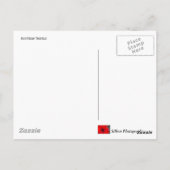 Scottish Thistle Briefkaart (Achterkant)