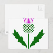 Scottish Thistle Briefkaart (Voorkant / Achterkant)