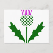 Scottish Thistle Briefkaart (Voorkant)