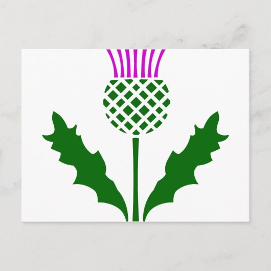 Scottish Thistle Briefkaart (Voorkant)