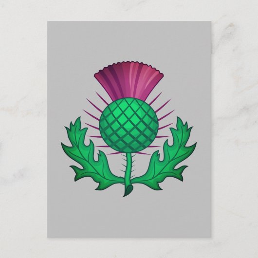 Scottish Thistle Briefkaart (Voorkant)