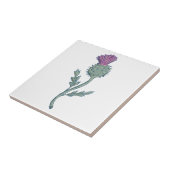 Scottish Thistle Drawing Tegeltje (Zijkant)