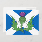Scottish Thistle en Saltire Briefkaart (Voorkant / Achterkant)