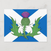 Scottish Thistle en Saltire Briefkaart (Voorkant)