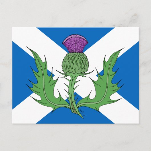 Scottish Thistle en Saltire Briefkaart (Voorkant)
