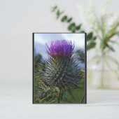 Scottish Thistle Fine Art fotografie Briefkaart (Staand voorkant)