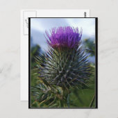 Scottish Thistle Fine Art fotografie Briefkaart (Voorkant / Achterkant)